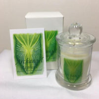 Archangel Raphael Candle - Hikari Candles 