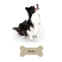 Pet Memorial Candles Personalised - Hikari Candles 
