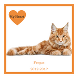 Pet Memorial Candles Personalised - Hikari Candles 